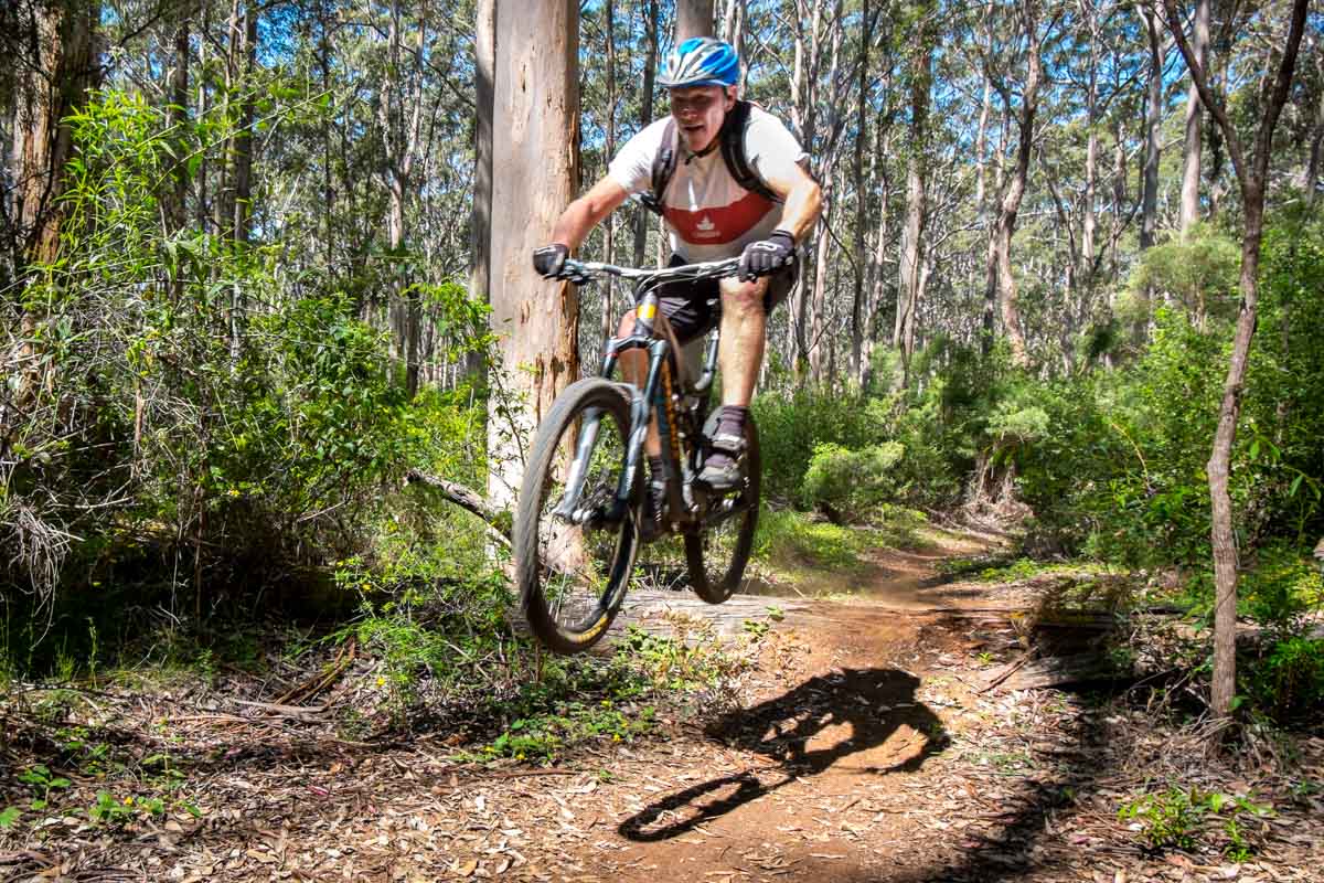 bike in forest.