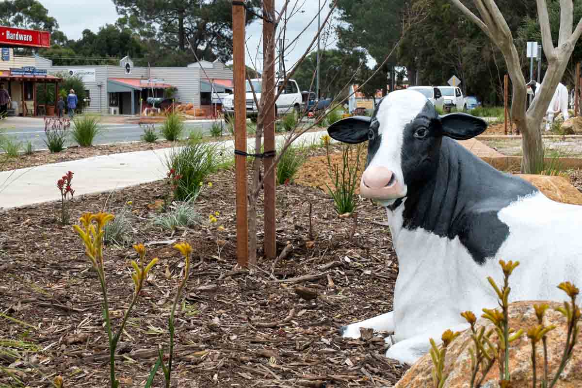 Download Cow Town Margaret River PNG