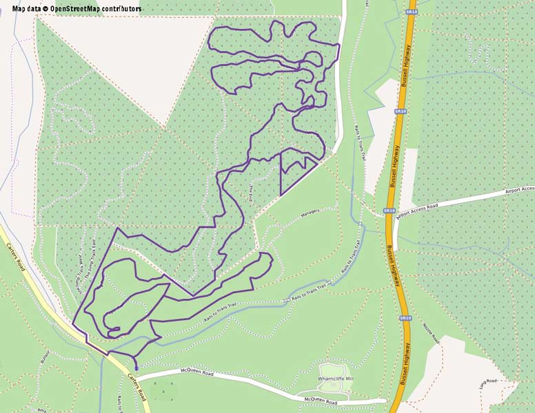 the pines mountain bike trails